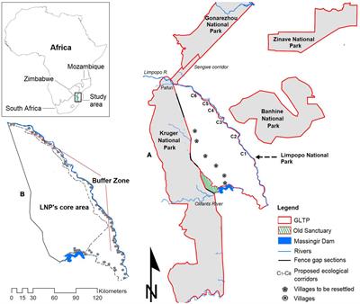Historical and current distribution and movement patterns of large herbivores in the Limpopo National Park, Mozambique